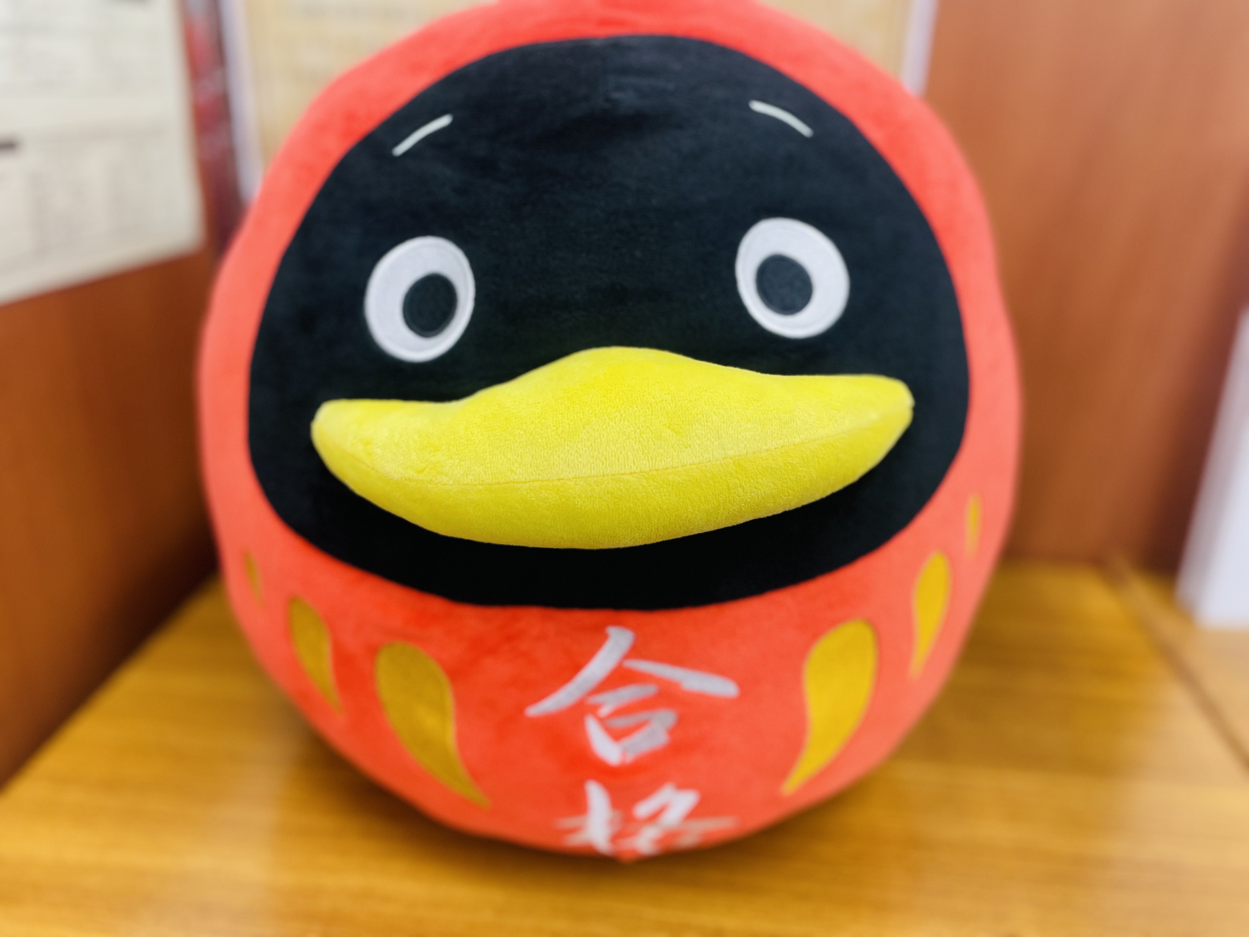 みんな大好きだるまりんぺん。いつもみんなの合格を祈っています。